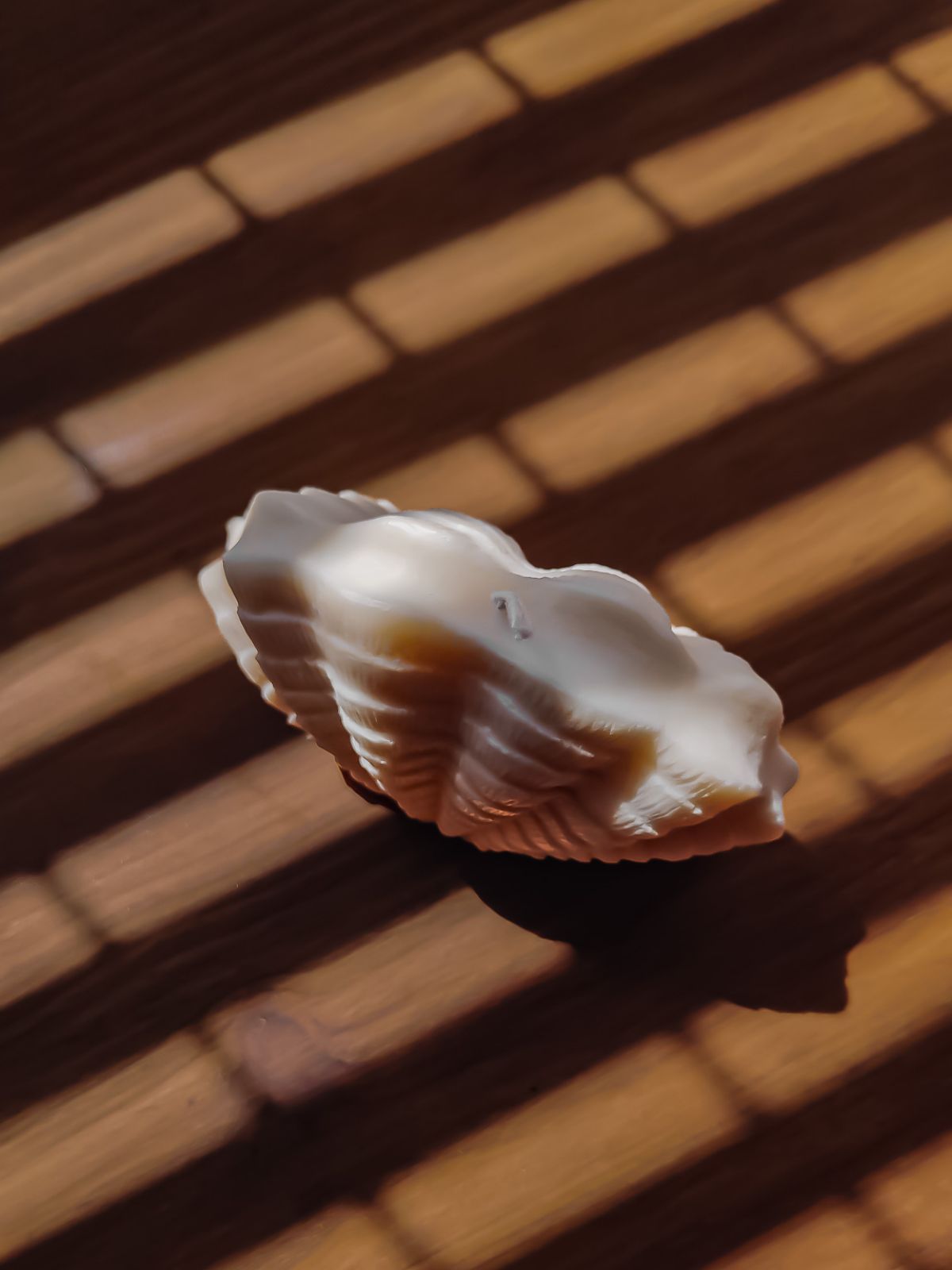 Bougie parfumée en forme coquillage. Décoration de tendance marine pour une ambiance bord de mer. bougie naturelle en cire de soja 100% végétale.