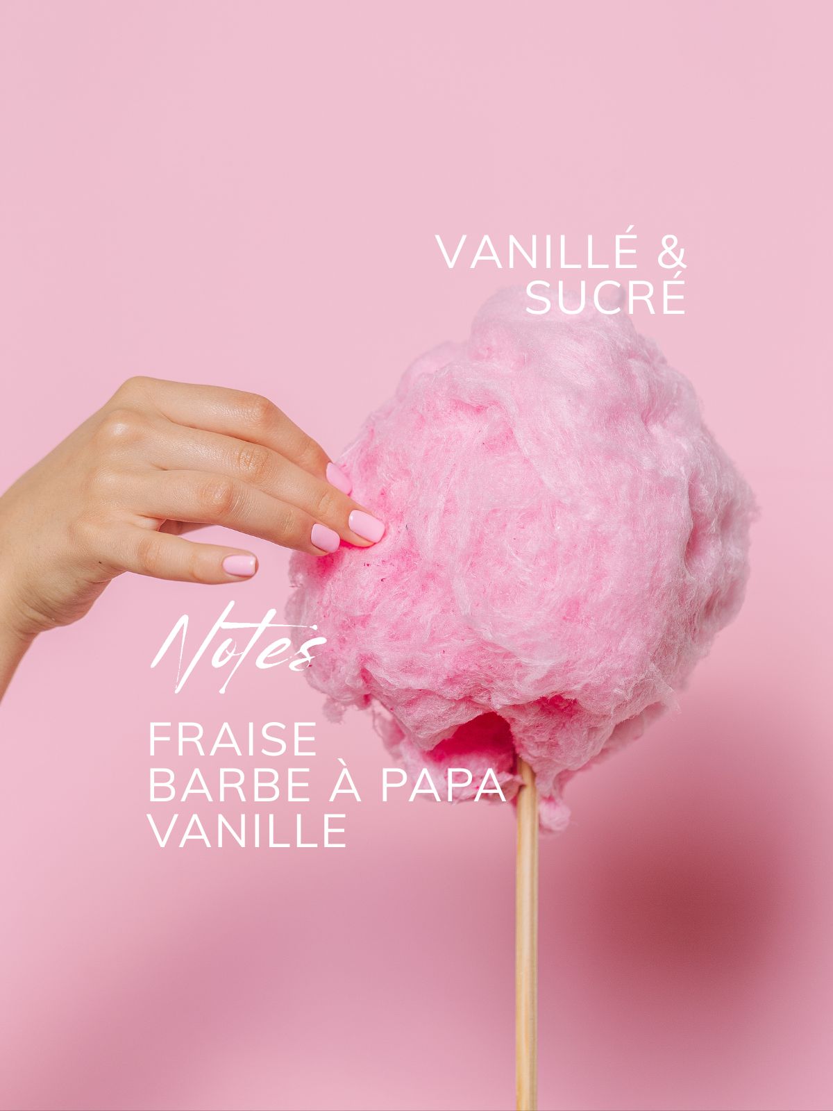 Suspension parfumé BARBE à PAPA