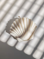 Bougie parfumée en forme coquillage. Décoration de tendance marine pour une ambiance bord de mer. bougie naturelle en cire de soja 100% végétale.