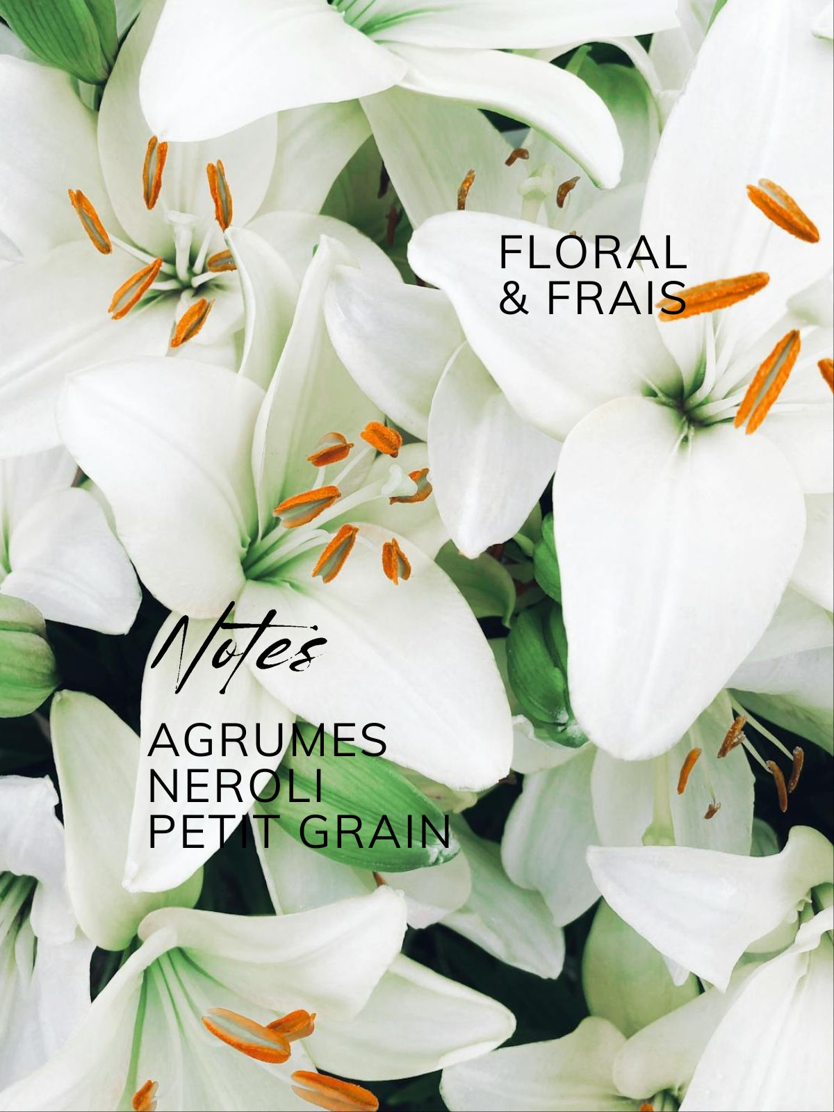 Fondant parfumé Néroli