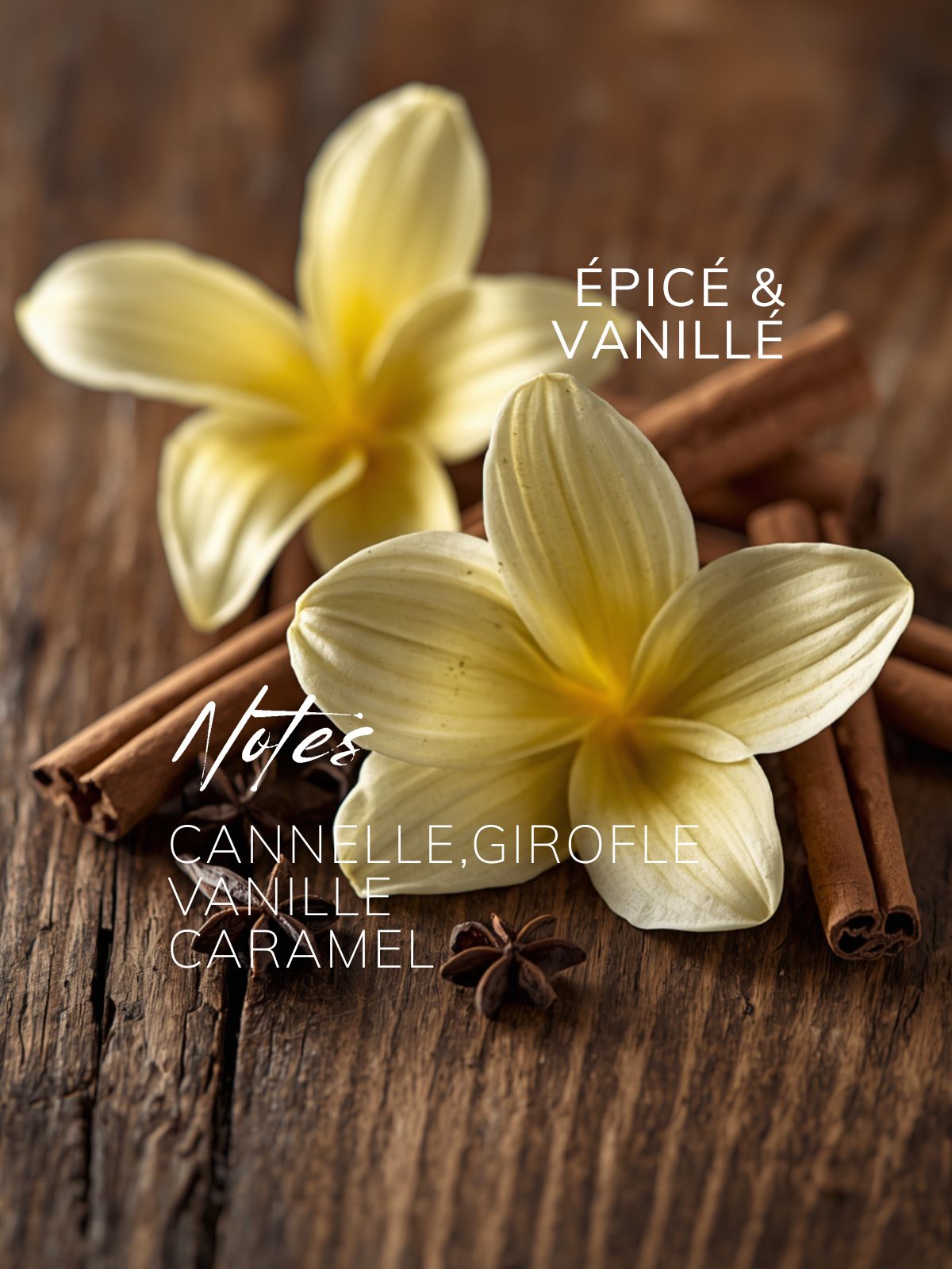 SUSPENSION PARFUME VANILLE EPICE