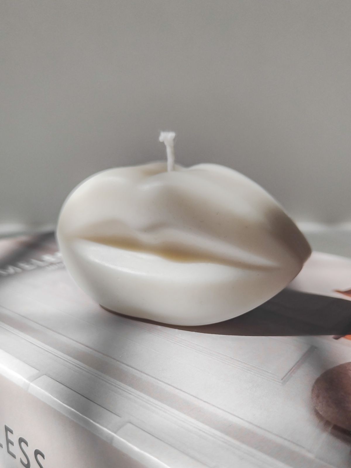 Bougie Décoratif et design les bougies sculpturales sont très populaire en cette période de l'année pour aussi s'offrir en cadeaux.