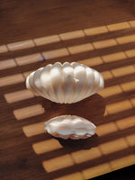Bougie parfumée en forme coquillage. Décoration de tendance marine pour une ambiance bord de mer. bougie naturelle en cire de soja 100% végétale.