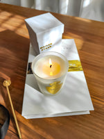 Grande bougie parfumée cèdre, parfum de Grasse, cire vegetale et fabriquée en France. Parfumerie de maison. parfum  boisé et frais.