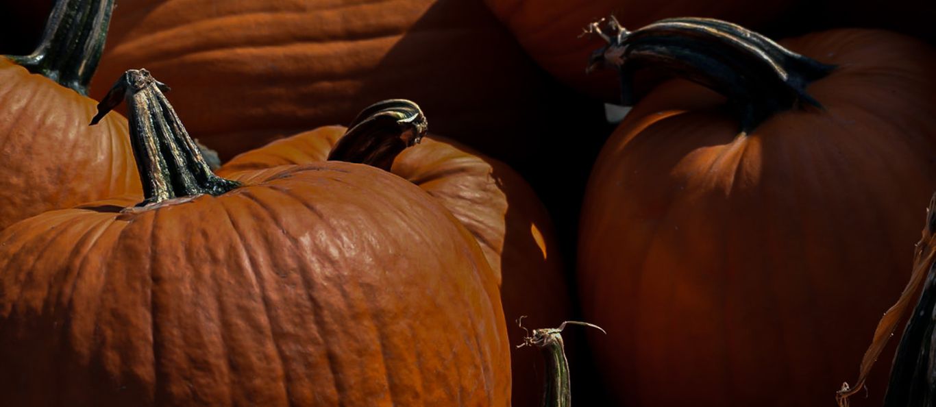 Halloween - décoration et bougie d'halloween pour une ambiance conviviale. bougies citrouilles, bougies champignons, bougies pomme de pin. bougies parfumées gourmandises 
