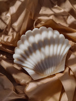 Bougie parfumée en forme coquillage. Décoration de tendance marine pour une ambiance bord de mer. bougie naturelle en cire de soja 100% végétale.