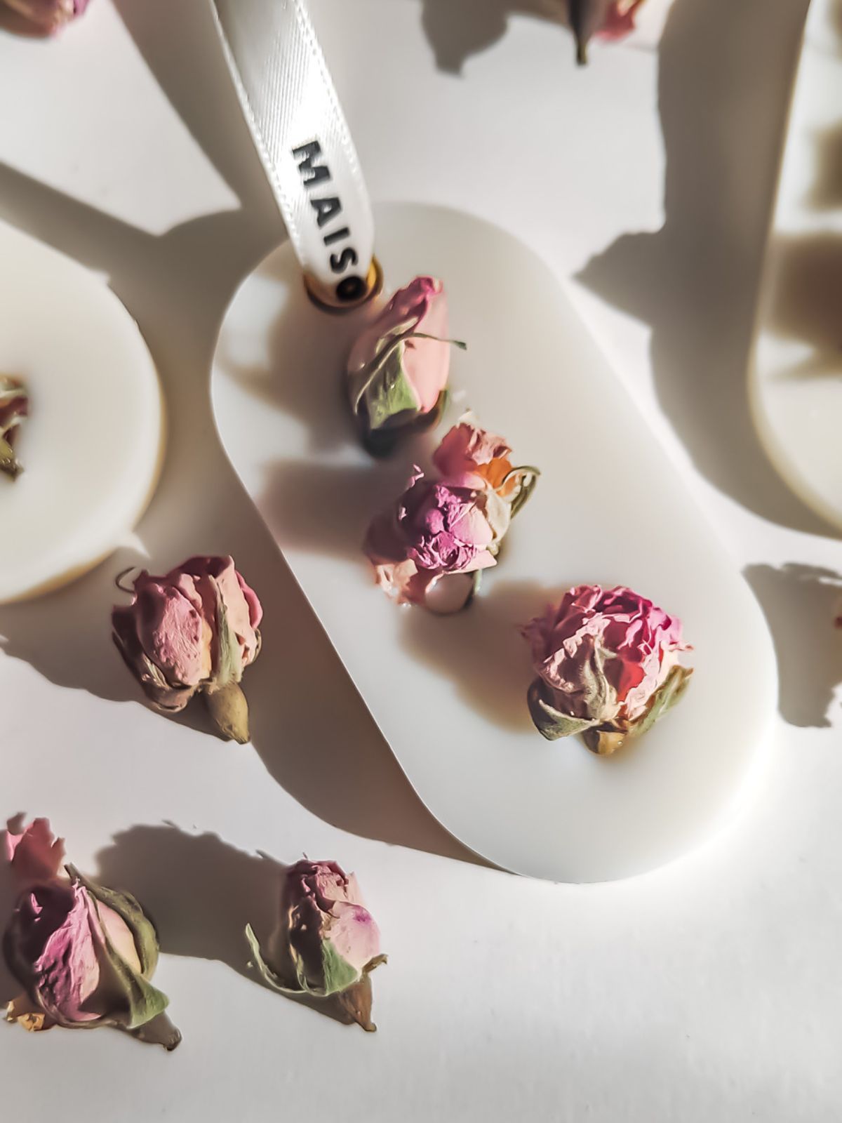 PALET BOTANIQUE MUSC