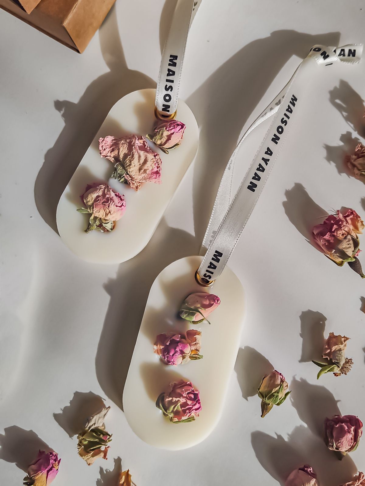 PALET BOTANIQUE MUSC